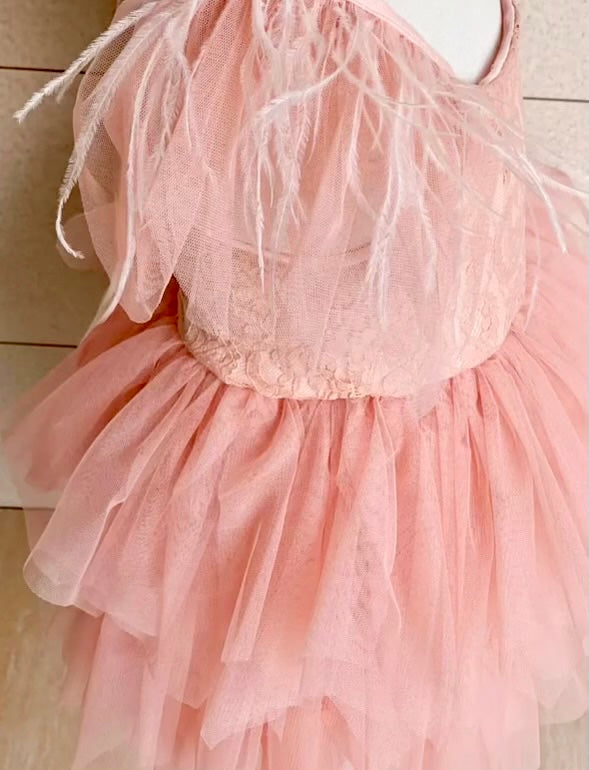 The Peachy Princess Dress