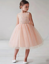 The Princess Palace Party Dress