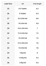 The Twinkle Rainbow Dream