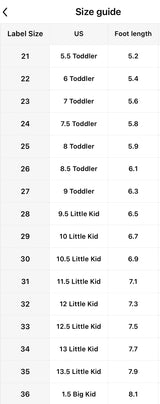 The Flutter Fairy Sparkle Shoe