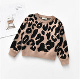 The Crew Neck Leopard Sweater